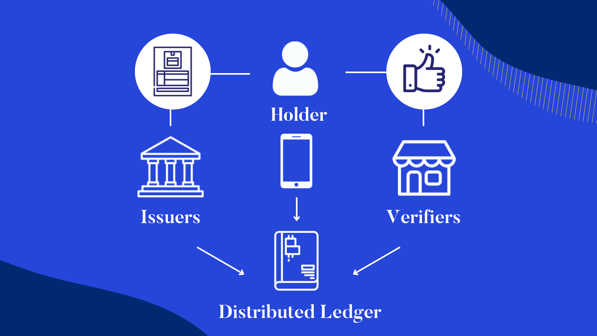 How Verfiable Credentials Work. Issuers provide credentials to both the holder and on the distributed ledger. When someone wants to verify your credentials, it's as easy as using your digital wallet to pay at the checkout. You provide access and they get verification. 
